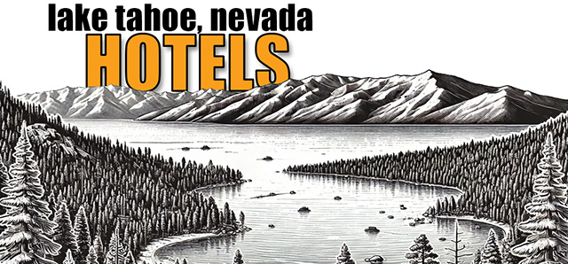 Area Hotels!